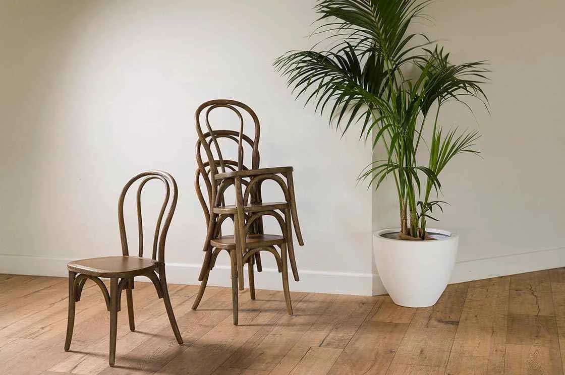 Bentwood Dining Chair